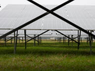 Les avions et les panneaux solaires se partagent l’aérodrome de Mulhouse-Habsheim