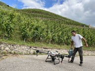 Quand des viticulteurs utilisent des drones pour traiter leurs vignes