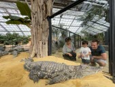 Cinq choses à savoir sur la ferme aux crocodiles à Pierrelatte