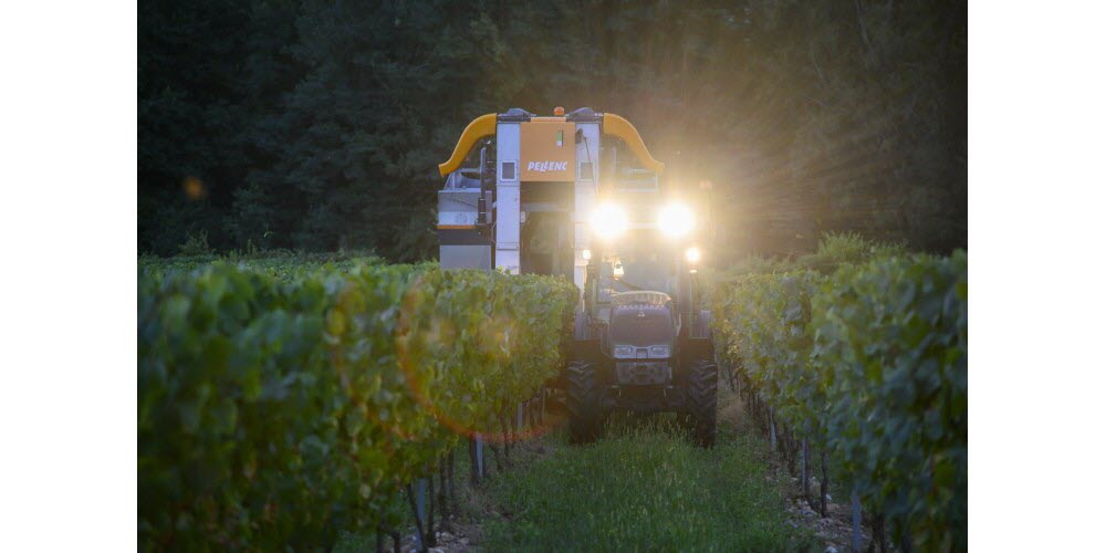 À la lumière des phares, les vendangeuses se sont mises à la tâche pour récolter le chardonnay destiné à l’Orélie 10°, le vin à faible degré des Vignerons ardéchois. Photo Le DL/Mathias Orain