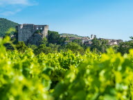 Partez à la découverte du vignoble de l'Ardèche !