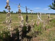 Agriculture : l’état des sols étudié… grâce à des slips