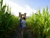 Testez le labyrinthe d'Entraigues-sur-la-Sorgue  !