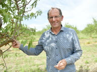 Les cultivateurs face au défi de la guêpe des amandes