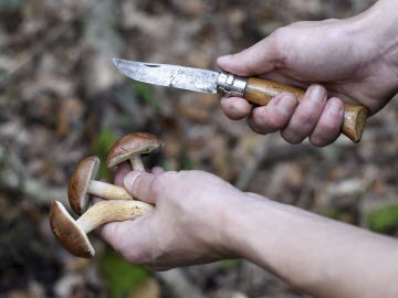 A-t-on encore le droit de sortir avec un couteau de poche ?