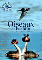 Oiseaux de bonheur