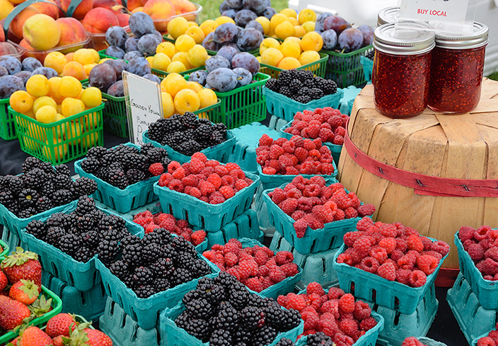 Vero Beach Farmers Market