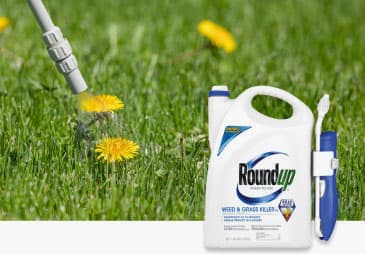 Weed Control