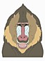 Mandrill