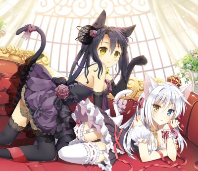 Catgirl Fanclub