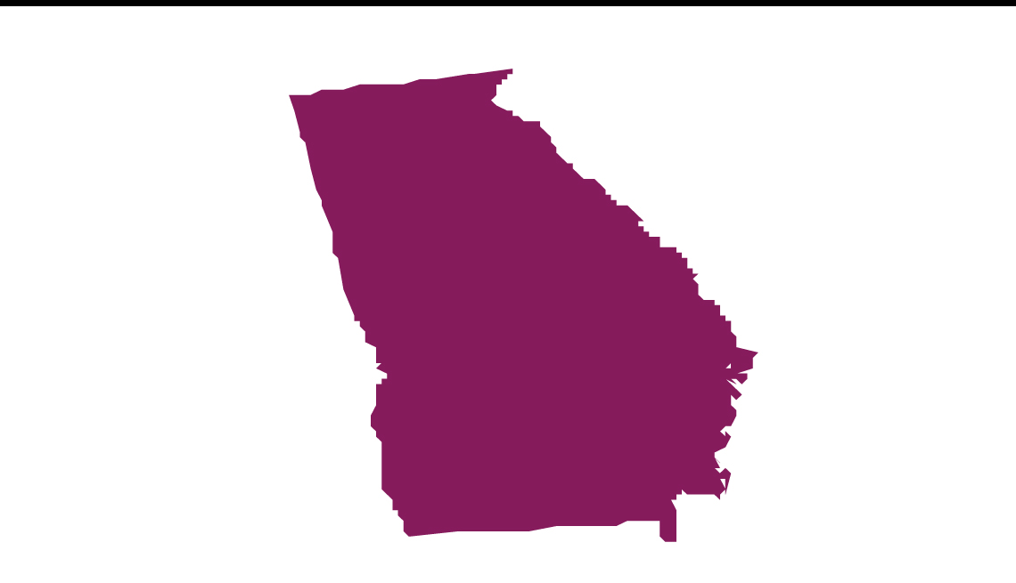 the state of georgia