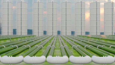 Image of a facility filled with green-colored tubes.