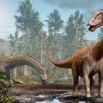 Image of two large, long necked dinosaurs in a forest.