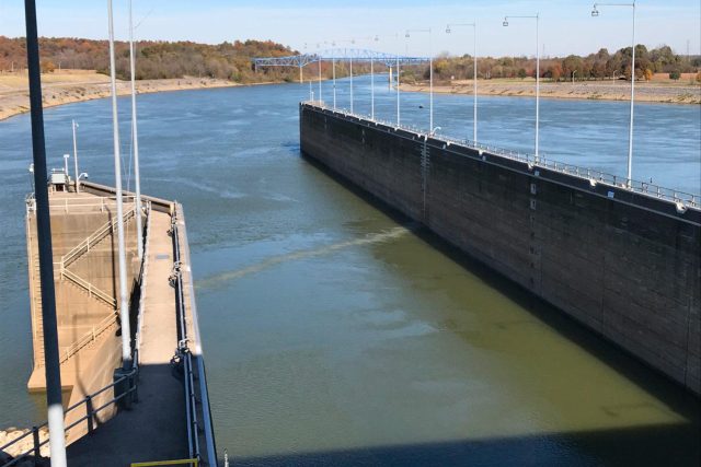 Bio-acoustic fish fence