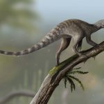 Image of a small reptile perched on the end of a branch, with a smaller lizard in its mouth.