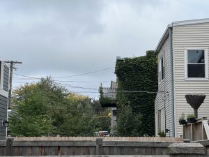 A fenced yard in a Chicago neighborhood with overcast skies