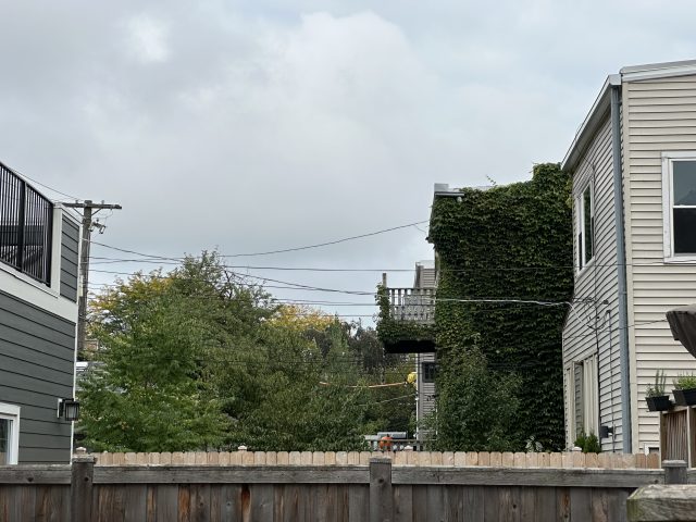 A fenced yard in a Chicago neighborhood with overcast skies