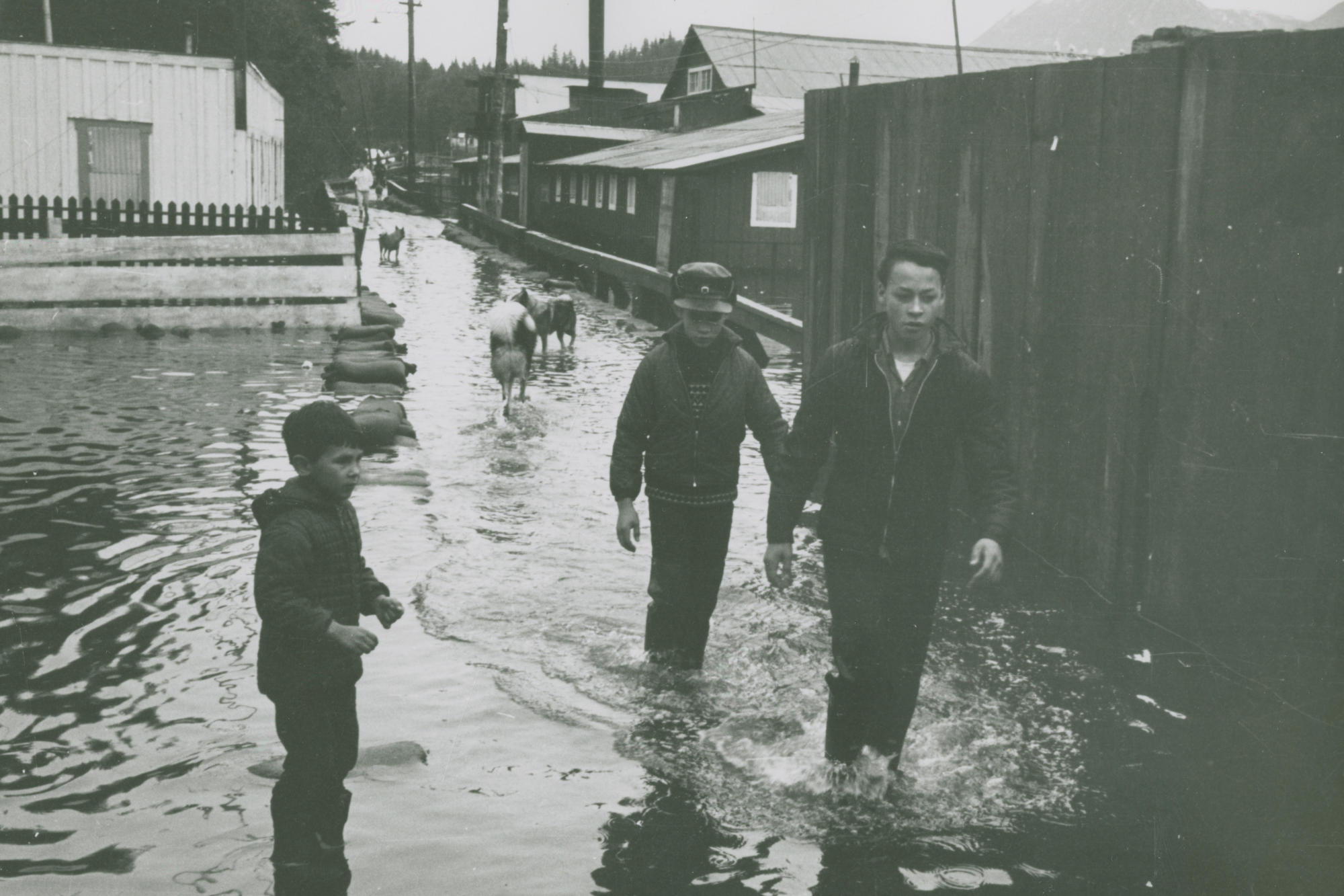 Image from 1964 flooding