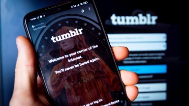 Tumblr app open on an Android phone