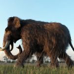 A 3D illustration of a Woolly Mammoth walking across a field in the sunset.