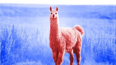 A red llama in a blue desert illustration based on a photo.