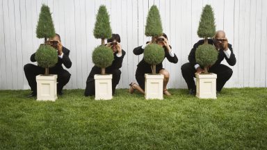 Folks in suits hiding behind trees that do not really obscure them