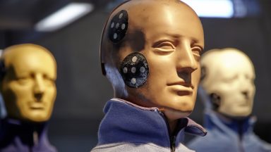 crash test dummy heads