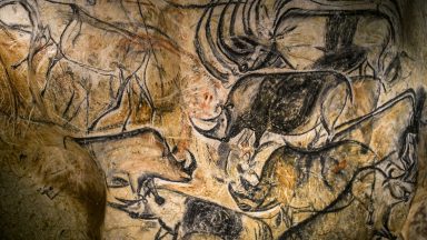 Image of a tan rock surface with black and brown depictions of animals on it.