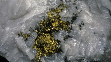 Image of a white rock with gold and black deposits speckled throughout it.