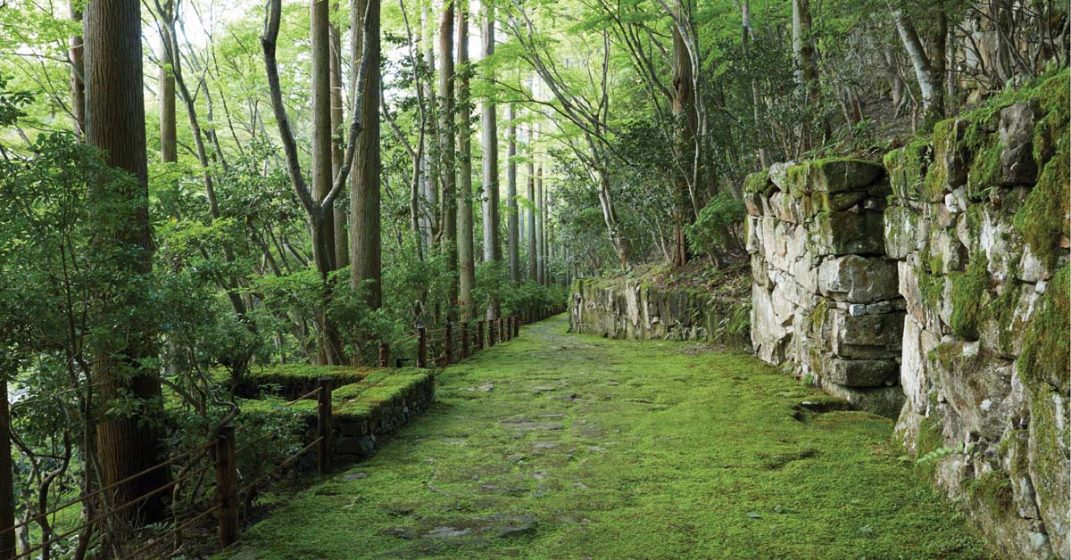 下次飛日本就來這裡！「AMAN Kyoto」安縵京都，飽覽四季美景，享受繁華古都中的靜謐仙境