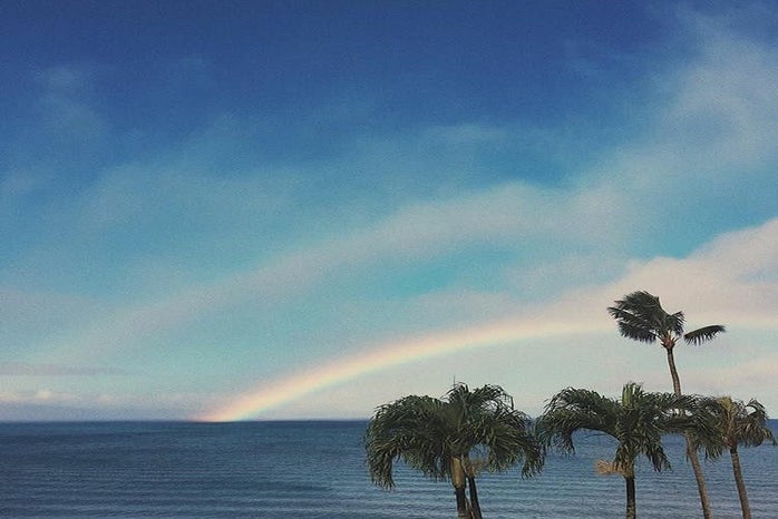 tessa pesicka sky ocean palm trees rainbow nature vacation?width=698&height=466&fit=crop&auto=webp