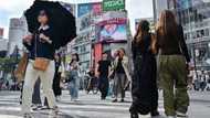 Tokyo govt to launch dating app to boost birth rate