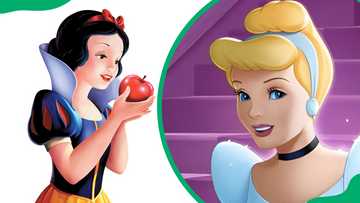 How old is Snow White? Disney love stories and their age gaps