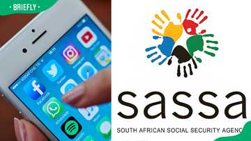 What is the SASSA WhatsApp number for 2024? Contact SASSA with ease