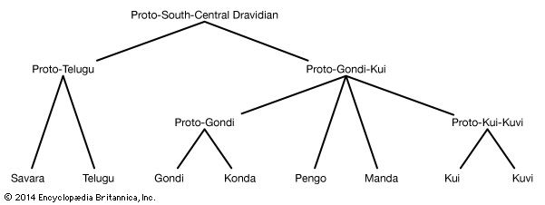 South-Central Dravidian languages