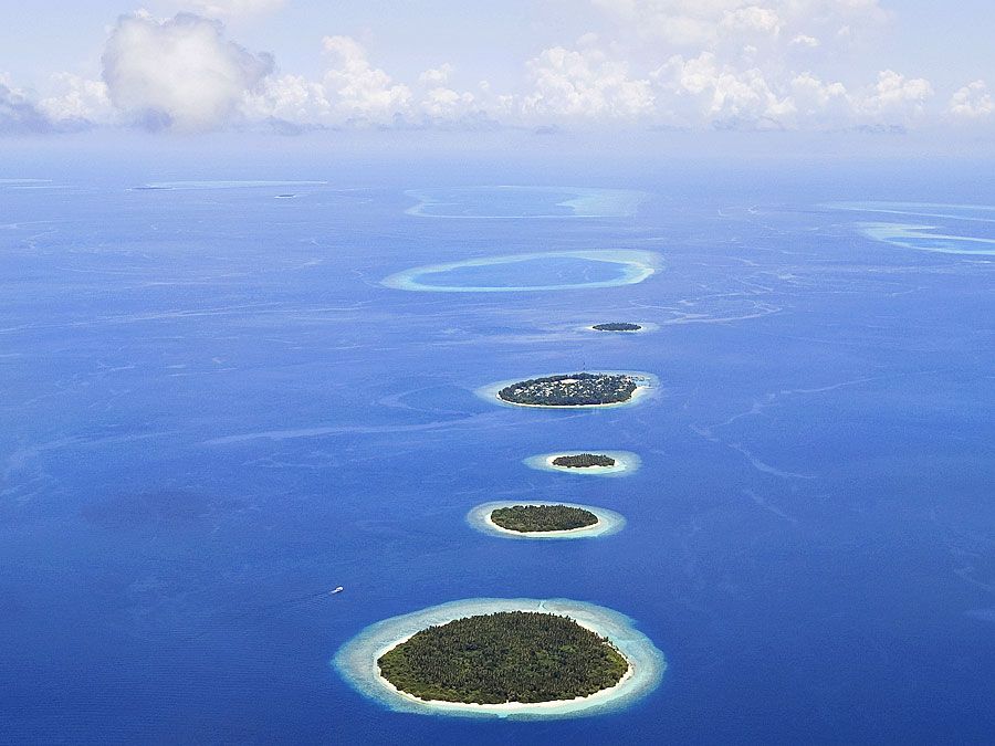 Atolls surrounded by reefs in the Maldives. (coral reefs; endangered area; ocean habitat; sea habitat; coral reef; island; island)