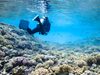 Learn about the conservation efforts to protect the marine ecosystem of the St. Anne Marine National Park, Seychelles