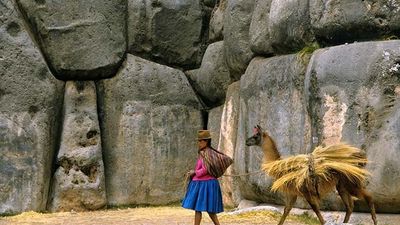 Sacsahuamán, Peru: llama