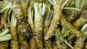 The spicy truth about real wasabi