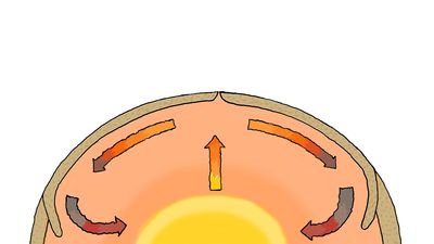 Study how the convection currents and other forces play a role in the movement of Earth's tectonic plates