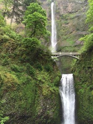 Multnomah Falls