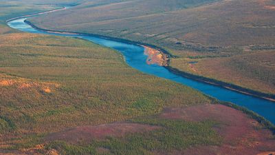 Siberian taiga and the river Tunguska fall from a helicopter.