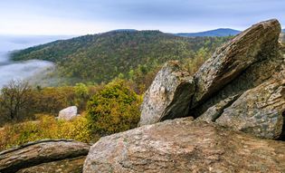 Shenandoah National Forest