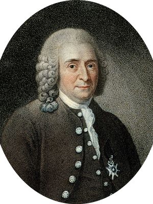 Carolus Linnaeus