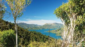 Queen Charlotte Sound