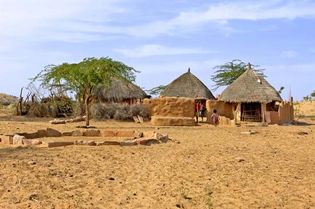 Thar Desert, India