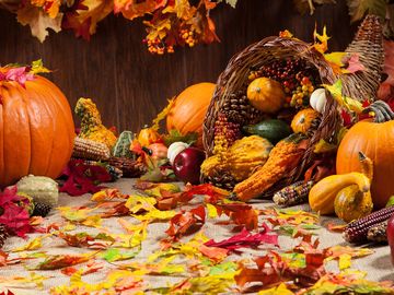 autumn, fall, pumpkins, cornucopia, gords, thanksgiving, leaf