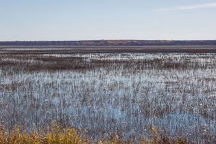 Minnesota: Rice Lake