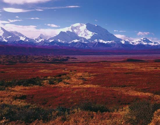 Denali National Park