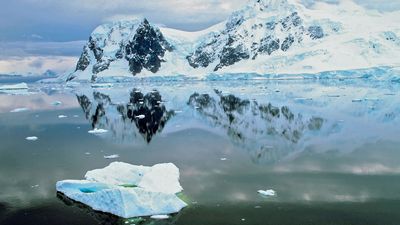 Antarctica: Paradise Bay